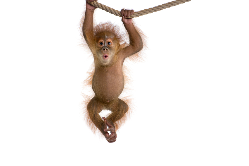 eco friendly service