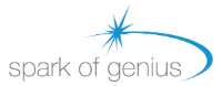 SPARK OF GENIUS